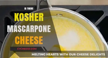 Is Mascarpone Cheese Kosher? Exploring Certification and Dietary Laws