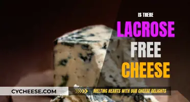 Lacrosse Free Cheese: Is It Possible?