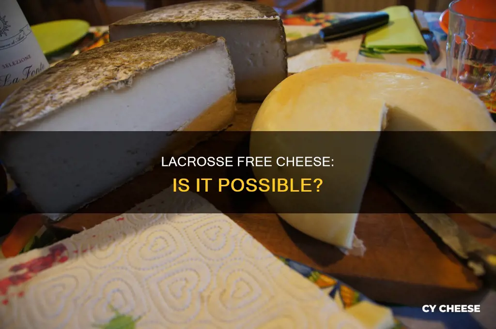 is there lacrose free cheese