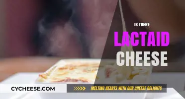 Lactaid Cheese: Does It Exist? Exploring Lactose-Free Dairy Options