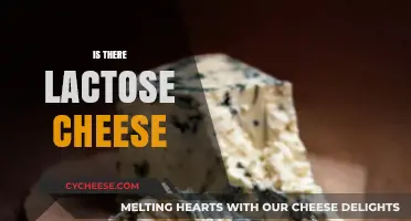Does Cheese Contain Lactose? Unraveling the Dairy Dilemma