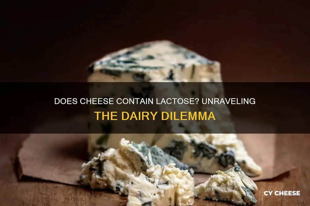 is there lactose cheese