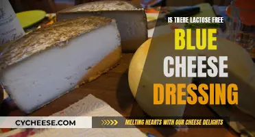 Lactose-Free Blue Cheese Dressing: A Tasty Reality?