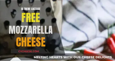 Mozzarella Without Lactose: Is It Possible?