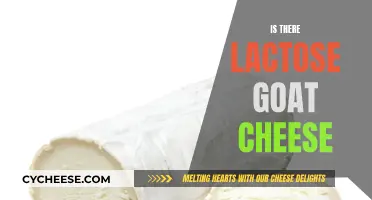 Lactose Intolerance and Goat Cheese: Can You Enjoy It?