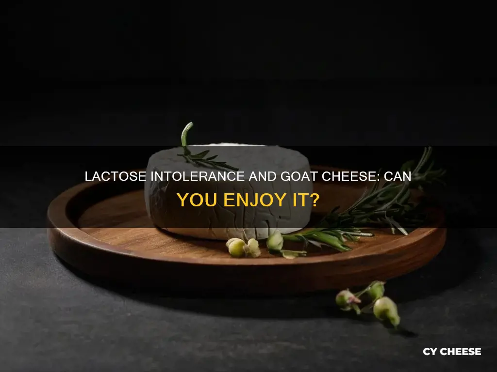 is there lactose goat cheese