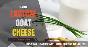 Goat Cheese: Lactose-Free Delicacy for Dairy Lovers