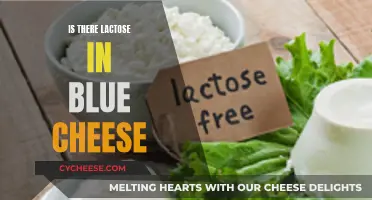 Blue Cheese Lactose Content: What You Need to Know