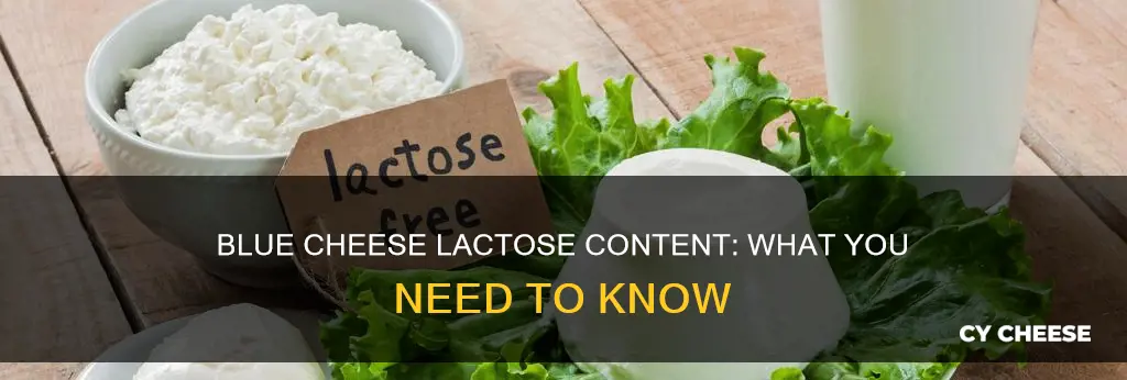 is there lactose in blue cheese