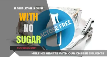 Does Cheese Without Sugar Contain Lactose? Unraveling the Dairy Mystery