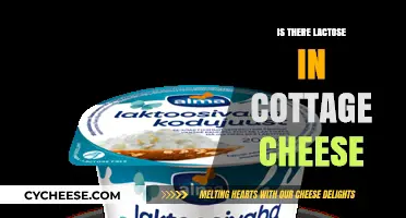 Does Cottage Cheese Contain Lactose? A Comprehensive Guide for Cheese Lovers