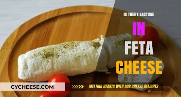 Lactose and Feta Cheese: What's the Connection?