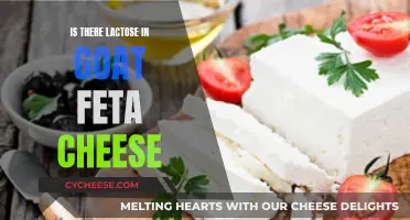 Goat's Milk Feta: Unveiling the Lactose Mystery