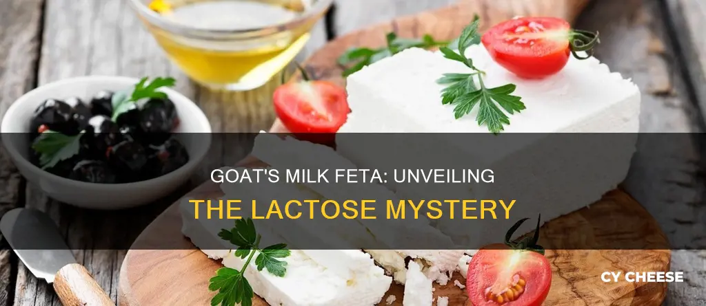 is there lactose in goat feta cheese