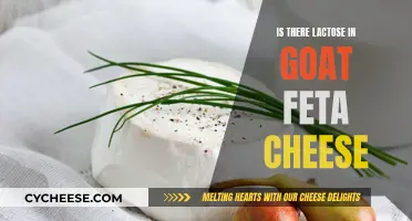 Goat Feta Cheese: Lactose-Free Delicacy or Dairy Disaster?