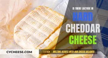 Lactose in Cheddar: Unraveling the Mystery of Hard Cheese