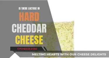 Hard Cheddar Cheese: Lactose-Free Delight or Dairy Danger?