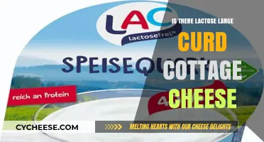 Does Large Curd Cottage Cheese Contain Lactose? A Detailed Look