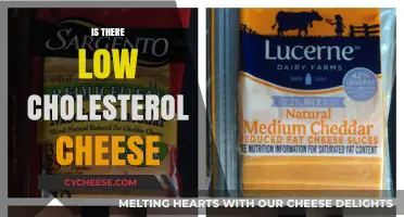 Discover Low-Cholesterol Cheese Options for a Heart-Healthy Diet