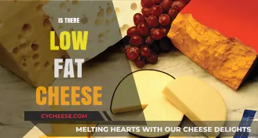 Exploring Low-Fat Cheese Options: Healthier Choices for Cheese Lovers