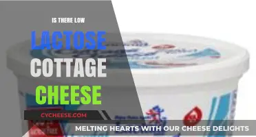 Low Lactose Cottage Cheese: A Digestive-Friendly Dairy Option?