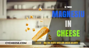 Does Cheese Contain Magnesium? Uncovering the Nutritional Truth