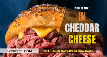 Meat-Free Cheddar: Unveiling the Cheese's True Nature