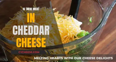 Cheddar Cheese: Meat or No Meat?