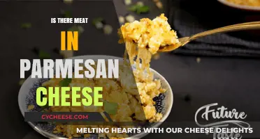 Parmesan Cheese: Does It Contain Meat?