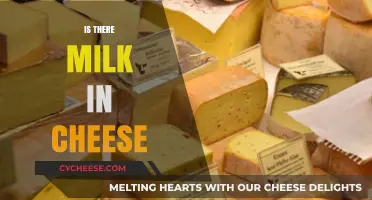Is There Milk in Cheese? Unraveling the Dairy Connection