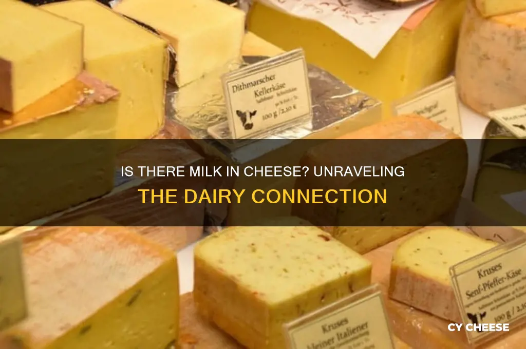 is there milk in cheese