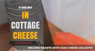 Is Cottage Cheese Made with Milk? Unraveling the Dairy Mystery