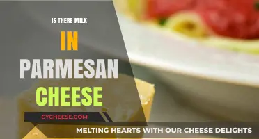 Parmesan Cheese: Does It Contain Milk?