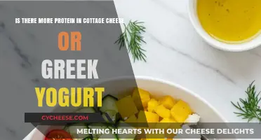 Cottage Cheese vs. Greek Yogurt: Which Packs More Protein?