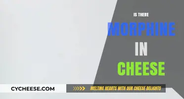 Morphine in Cheese: Unraveling the Myth Behind Dairy's Opioid Claims