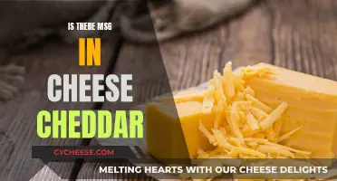 Unveiling the Mystery: MSG in Cheddar Cheese