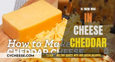 Cheddar Cheese and MSG: What's the Truth?