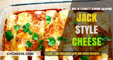 Lisanatti Almond Jalapeño Jack Cheese: MSG Content Explained