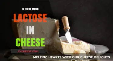Lactose in Cheese: How Much is Really There?