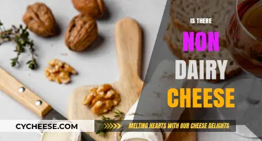 Exploring Non-Dairy Cheese Options: A Guide to Vegan Alternatives