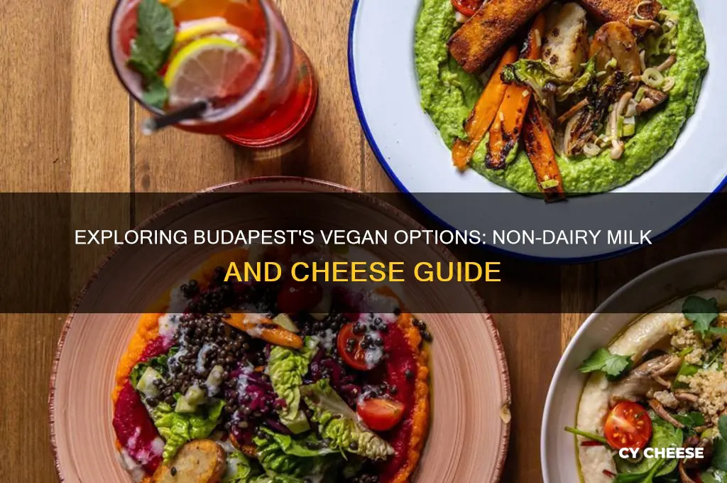is there non dairy milk and cheese in budapest