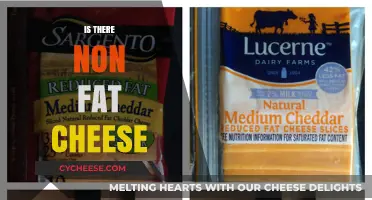 Exploring Non-Fat Cheese: Myth or Healthy Dairy Reality?