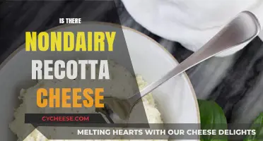 Discovering Dairy-Free Delights: Is There a Nondairy Ricotta Cheese?