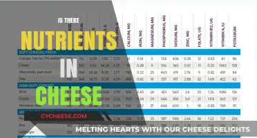 Nutrient-Rich Cheese: Uncovering the Health Benefits in Every Bite