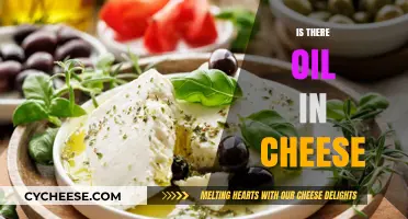 Is There Oil in Cheese? Unraveling the Dairy Mystery