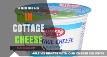 Does Cottage Cheese Contain Oleic Acid? Uncovering the Nutritional Facts