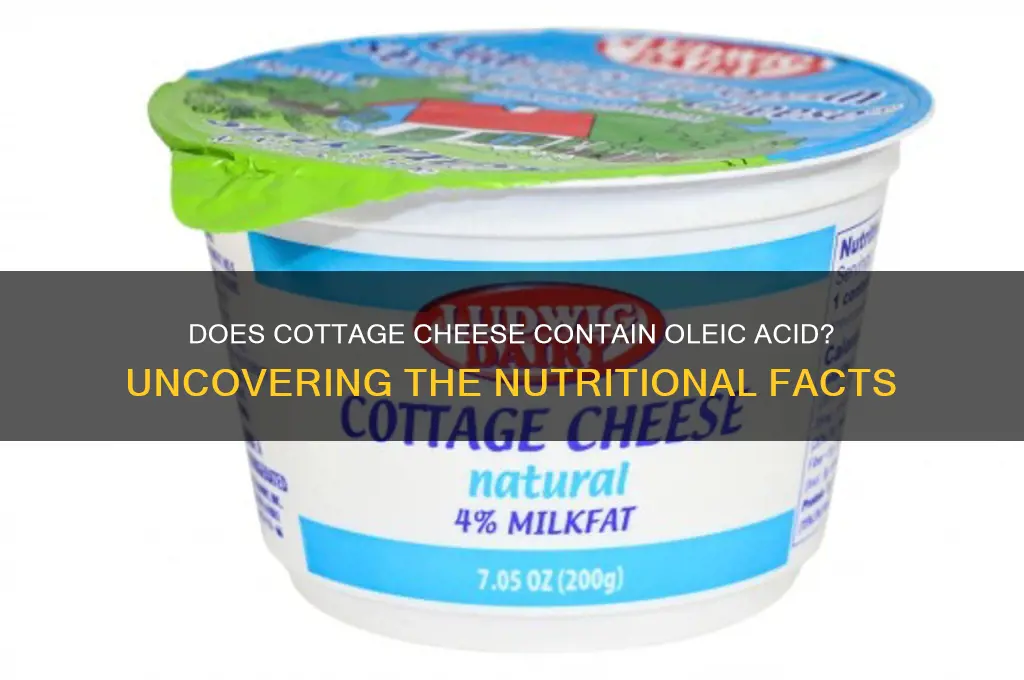 is there oleic acid in cottage cheese