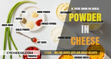 Cheese Ingredients Unveiled: Onion or Garlic Powder Inside?