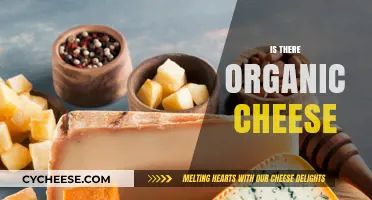 Exploring Organic Cheese: Is It Real and Worth the Hype?