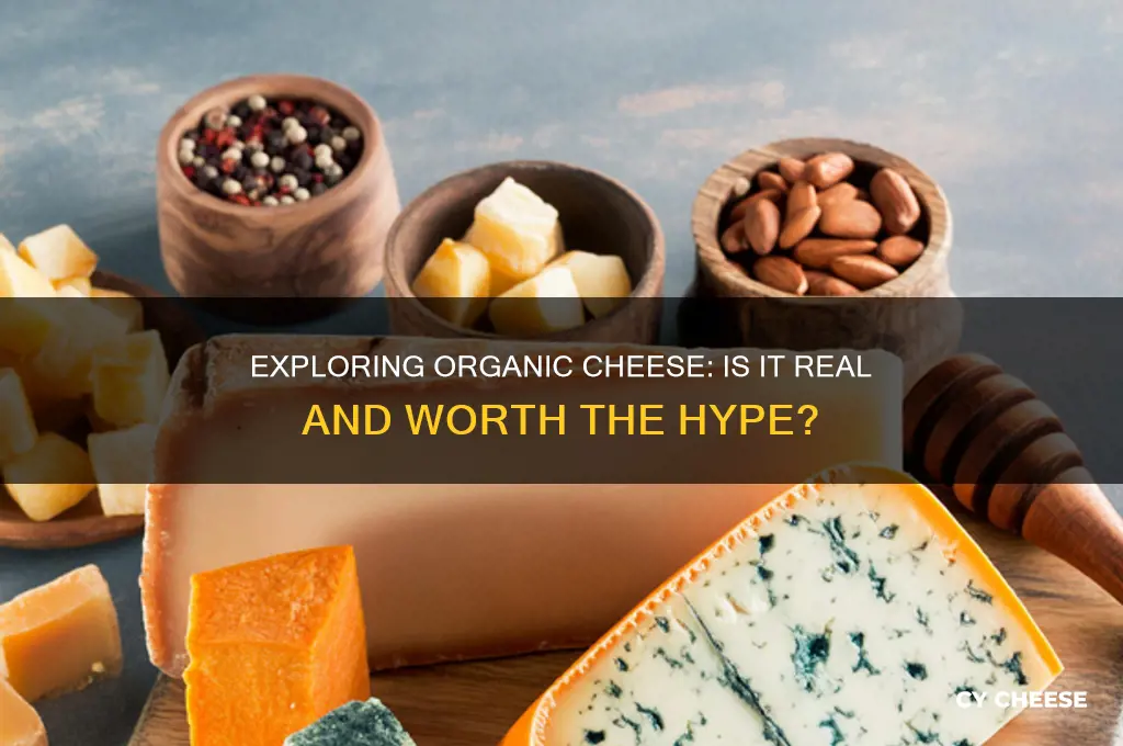 is there organic cheese